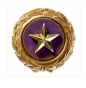 goldstar-pin.png